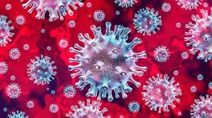#coronavirus : राज्यात १०१८ कोरोना बाधित रुग्ण ; ७९ जणांना घरी सोडले #coronavirus : राज्यात १०१८ कोरोना बाधित रुग्ण ; ७९ जणांना घरी सोडले