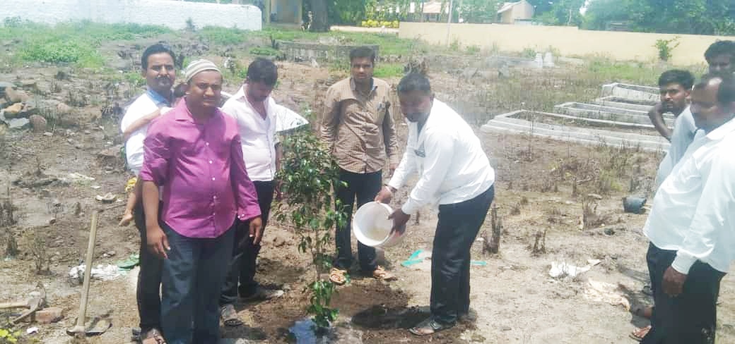 चांदे बुद्रुक मुस्लिम कब्रस्तानमध्ये वृक्षारोपण