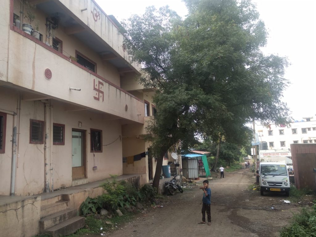 बोऱ्हाडेवाडीतील धोकादायक झाडाची छाटणी करण्याची मागणी