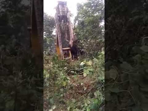 कल्याण : या अजगराला पाहुन तुमचेही डोळे पांढरे होतील!