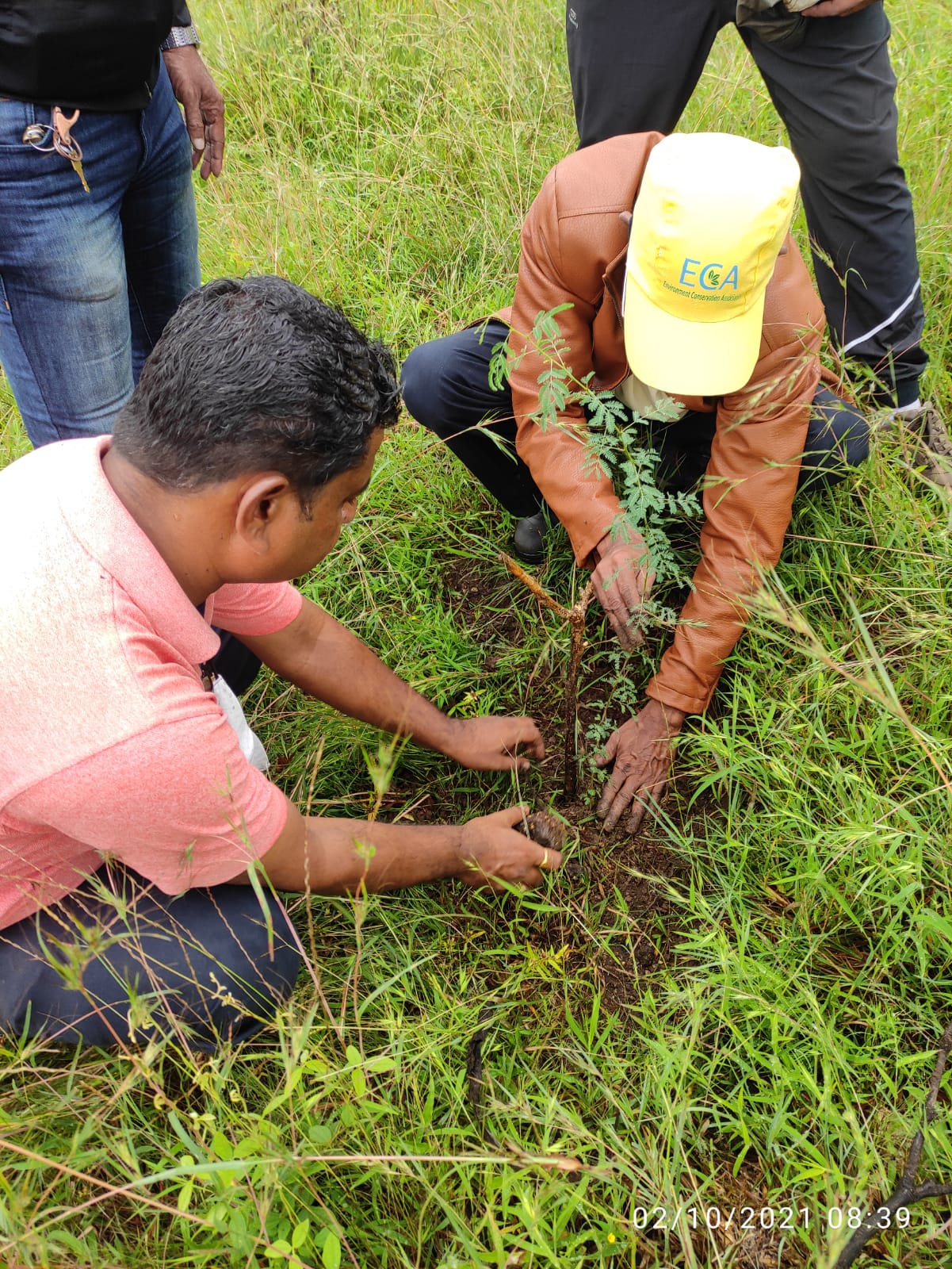 बाभळीच्या झाडांचे संवर्धन का करावे?