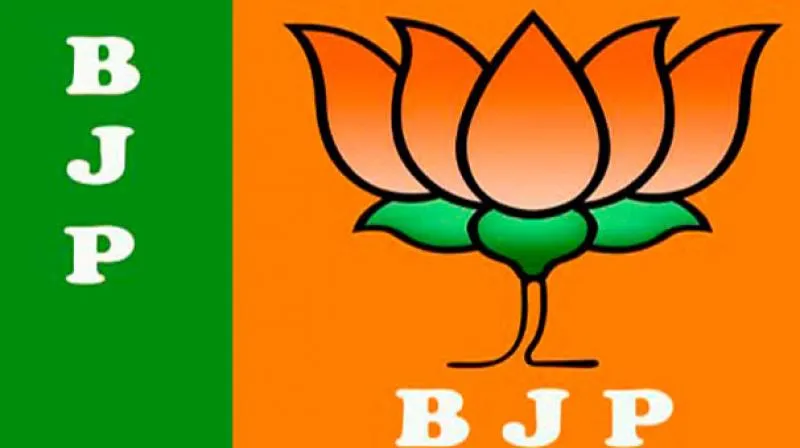 भारतीय जनता पार्टीला 700 कोटींचा 'पार्टी फंड' भारतीय जनता पार्टीला 700 कोटींचा 'पार्टी फंड'