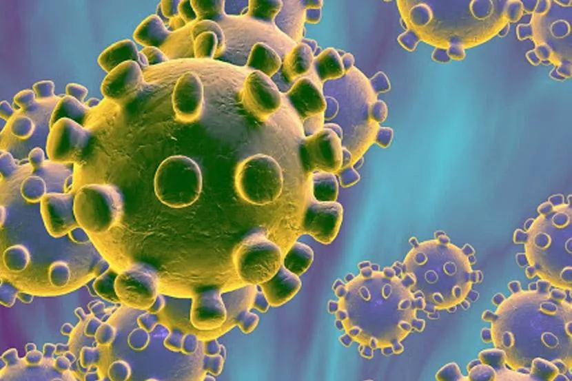 Coronavirus : पुणे शहरात आणखी १५ कोरोनाबाधित रुग्ण Coronavirus : पुणे शहरात आणखी १५ कोरोनाबाधित रुग्ण