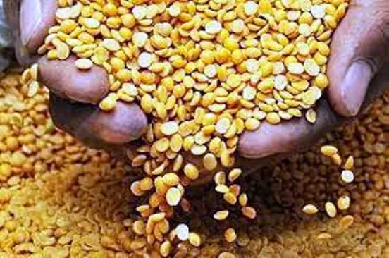 पंतप्रधान गरीब कल्याण योजनेअंतर्गत लाभार्थ्यांना होणार मोफत डाळ वाटप पंतप्रधान गरीब कल्याण योजनेअंतर्गत लाभार्थ्यांना होणार मोफत डाळ वाटप