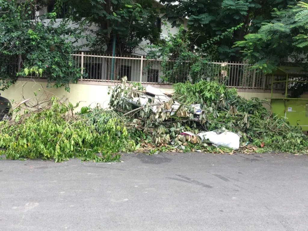 मनसेच्या तक्रारीची एक तासात महापालिकेने घेतली दखल मनसेच्या तक्रारीची एक तासात महापालिकेने घेतली दखल 