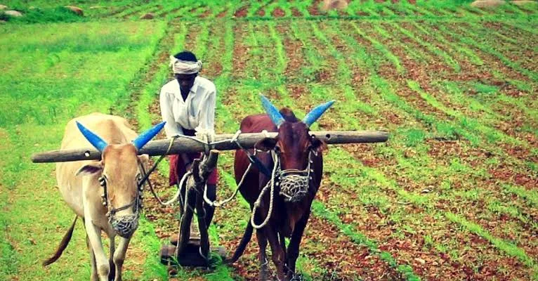 शेतकरी नावाची बाप माणसं शेतकरी नावाची बाप माणसं