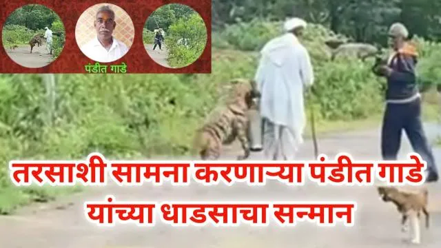 तरसाशी सामना करणाऱ्या पंडीत गाडे यांच्या धाडसाचा सन्मान