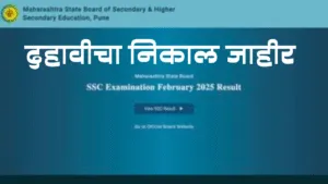 SSC Results 2025 : पिंपरी-चिंचवड शहराचा निकाल ९७.९७ टक्के